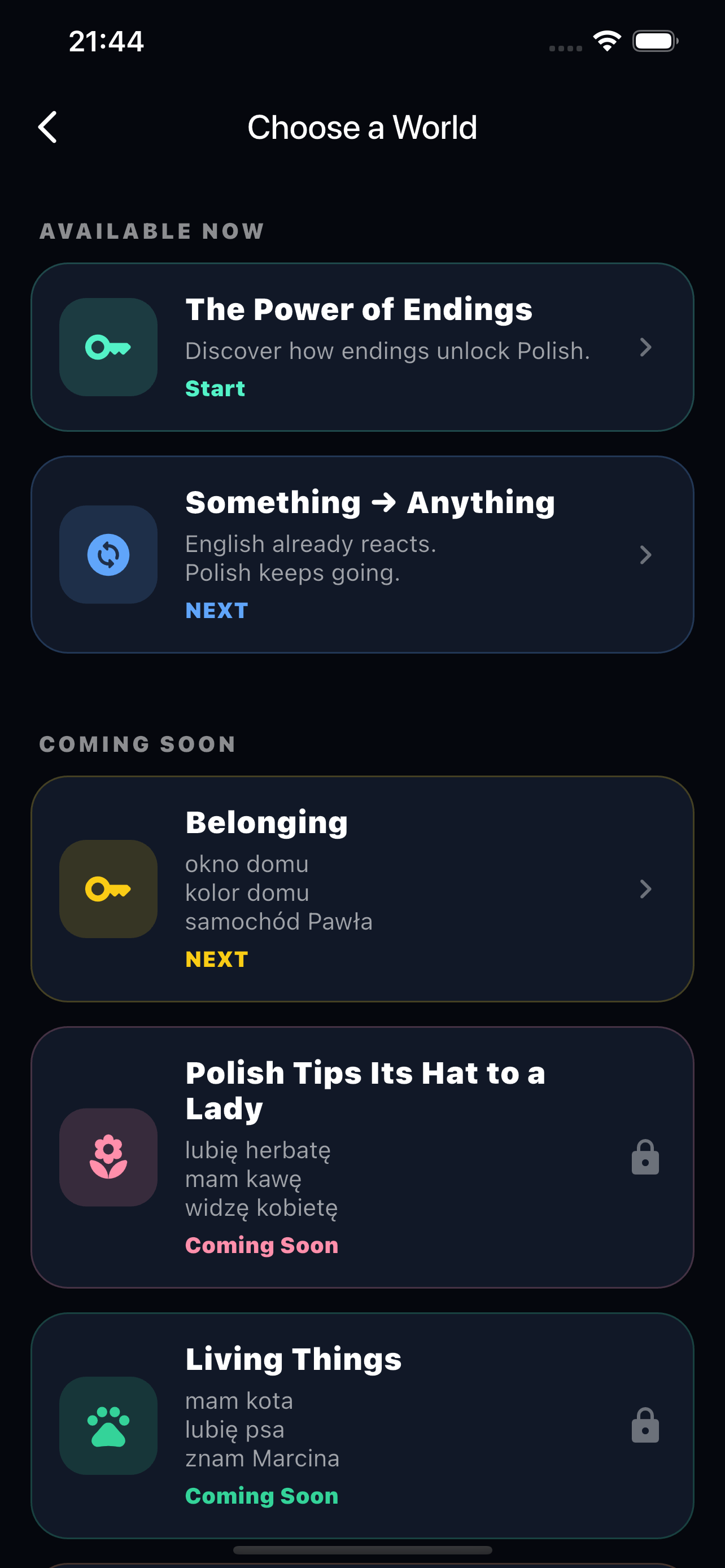 ACE Polish Pro lesson screen